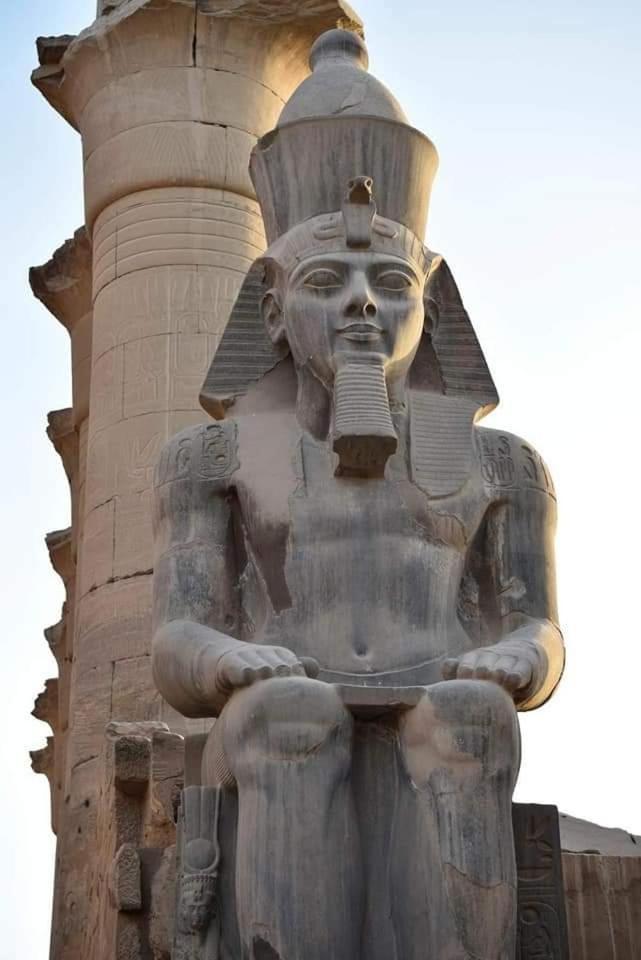 Abo Hisham Nile Flat *